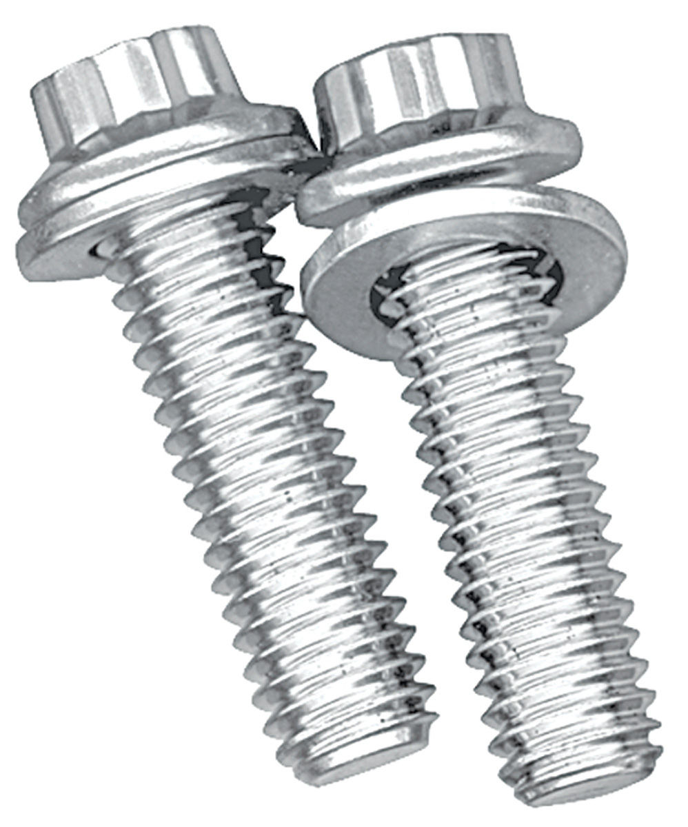 196473 GTO Fuel Pump Mounting Bolts Stainless, 12Point, by ARP for